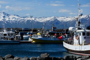 L'Islande propose son aide à l'UE pour la réforme des politiques de pêche